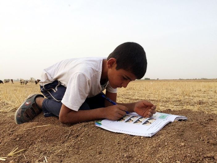 Suriye sınırındaki küçük çoban yürek burktu