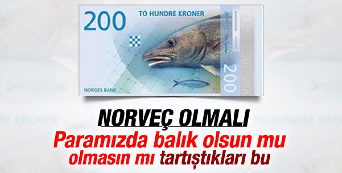 Finlandiya Başbakanı'ndan Apple'a sitem