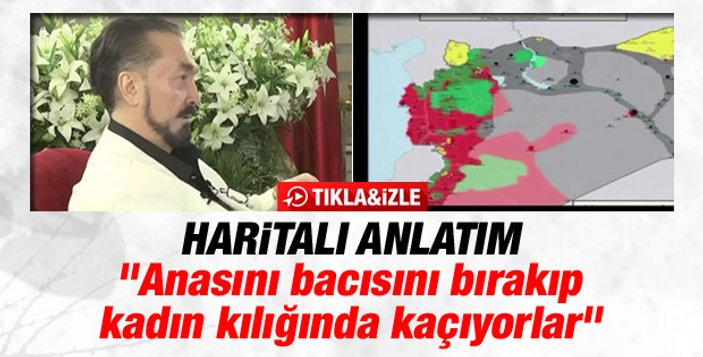 HDP'li Hasip Kaplan: Kedicikler IŞİD'e gitsin