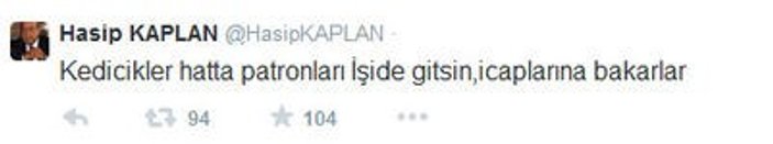 HDP'li Hasip Kaplan: Kedicikler IŞİD'e gitsin