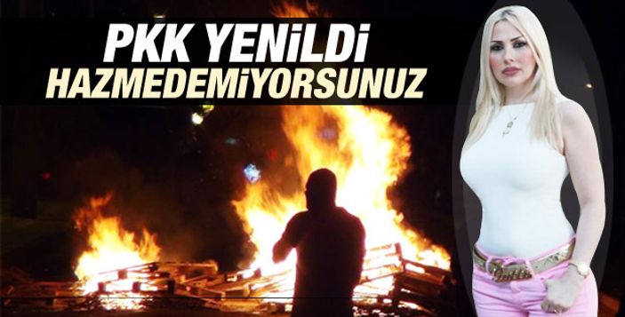 HDP'li Hasip Kaplan: Kedicikler IŞİD'e gitsin