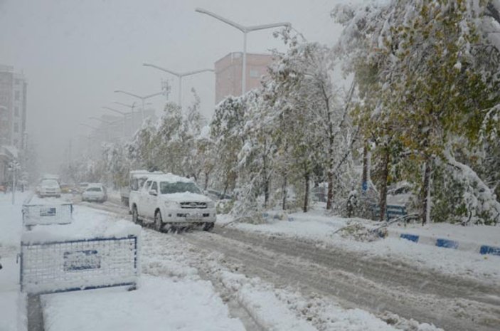 Hakkari'de yoğun kar yağışı ulaşımı olumsuz etkiledi
