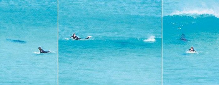 Avustralya'da bir köpek balığının sörfçüyü kovalama anı