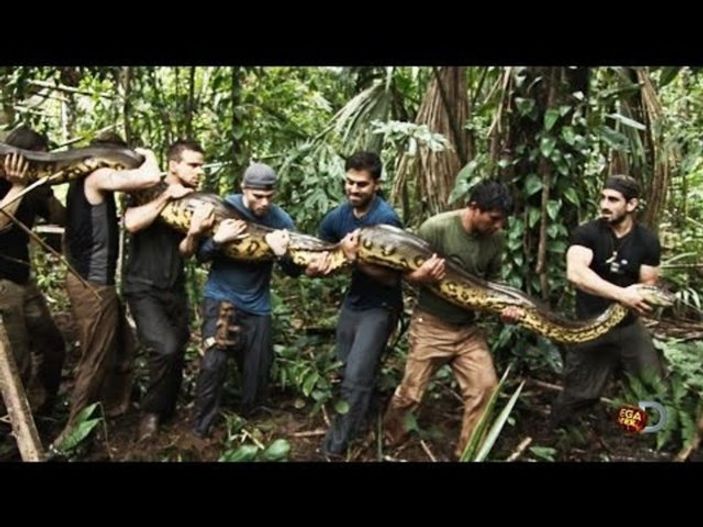 Yılana canlı canlı kendini yedirten adam