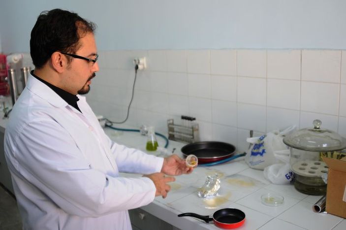 Fıstık sakızından yenilebilir ambalaj üretildi