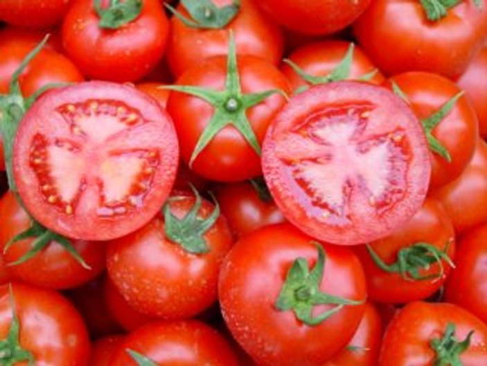 27 ton yasaklı domates imha edildi