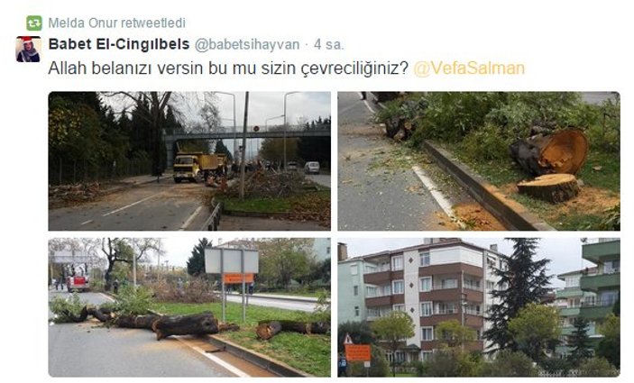 CHP'li Melda Onur'dan Muharrem İnce'ye ağaç tepkisi
