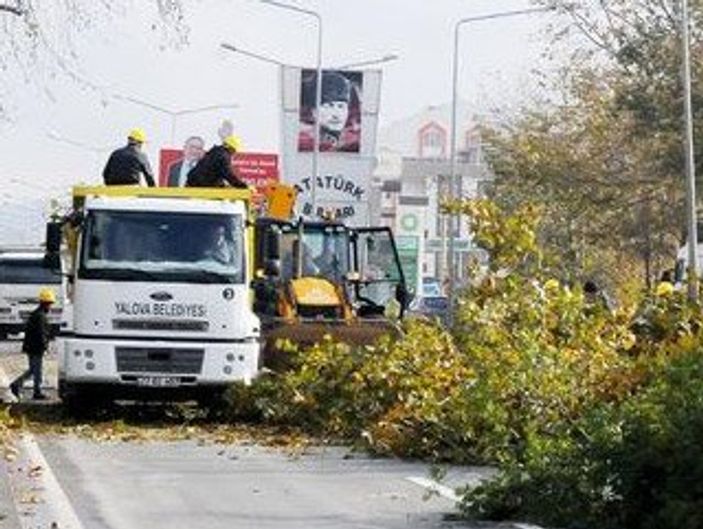 Yalova'da kesilen 180 ağacın ardından..