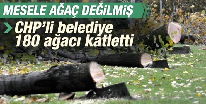 Manisa'da ağacı kesmek yerine başka bir yere taşıdılar İZLE
