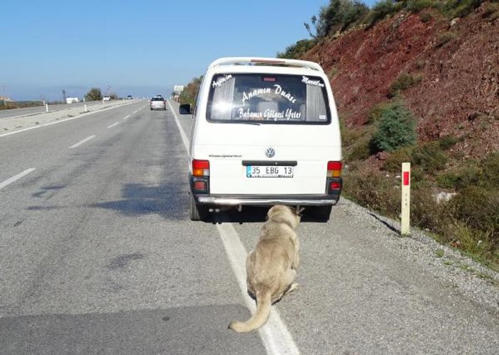 İzmir'de kangalı aracın arkasına bağlayıp sürüklediler İZLE
