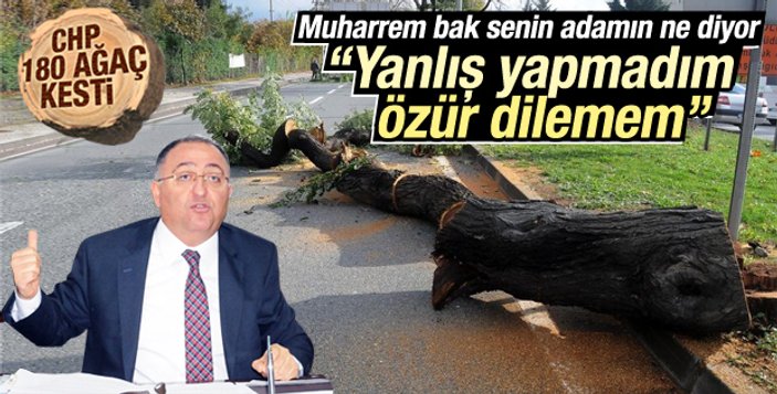 CHP Eskişehir ve Tekirdağ'da ağaç katliamı yaptı İZLE