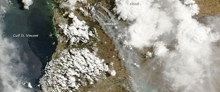 Avustralya'da orman yangını