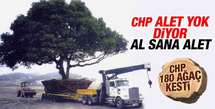 Antalya'da ağaçlar kesilmek yerine söküldü