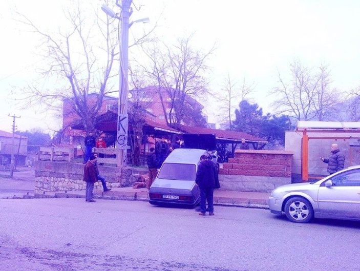 Zonguldak'ta bir Şahin düz duvara tırmandı
