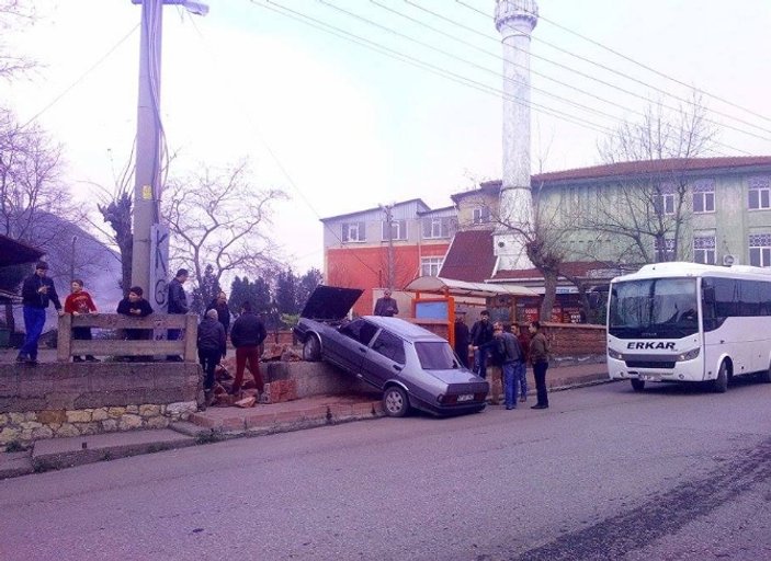 Zonguldak'ta bir Şahin düz duvara tırmandı