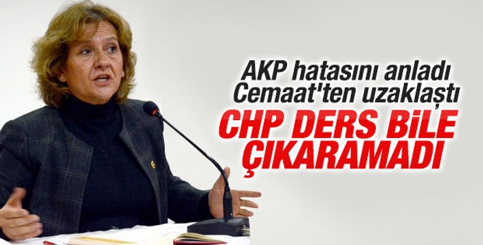 Birgül Ayman Güler CHP'den istifa etti