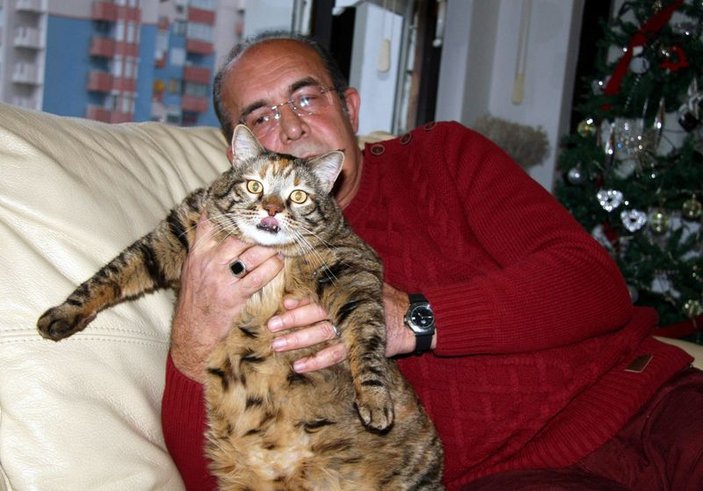 Antalya'da 12,5 kiloluk kedi obezite tedavisi görüyor