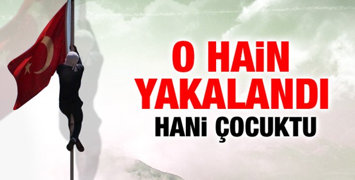 Diyarbakır'da Türk bayrağını indiren sanık yargılanıyor