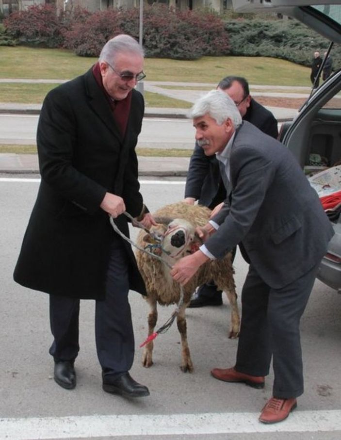 CHP'li vekil Meclis'e koçla gitti