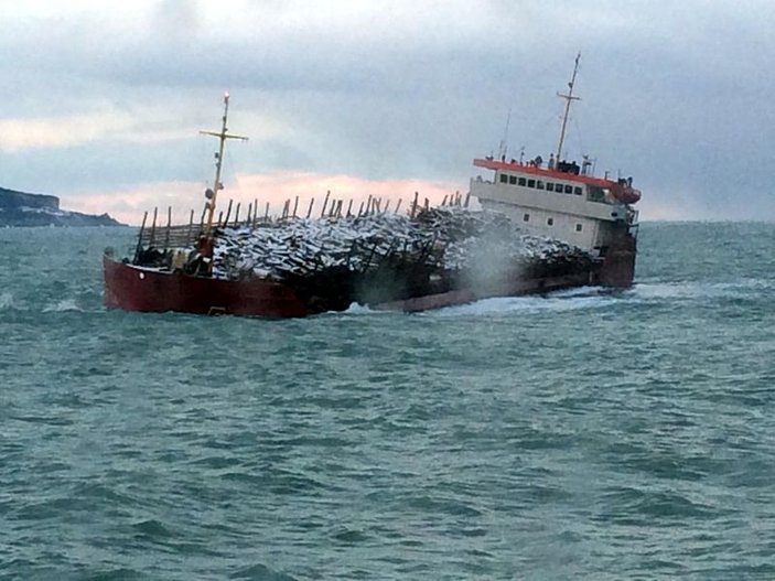 Sinop'ta bir yük gemisi battı