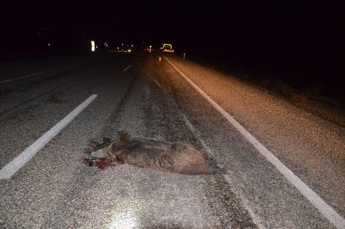 Mersin'de domuza çarpan sürücü hayatını kaybetti