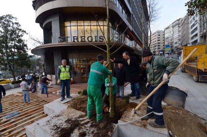 CHP'li Şişli Belediyesi otel için ağaç kesti
