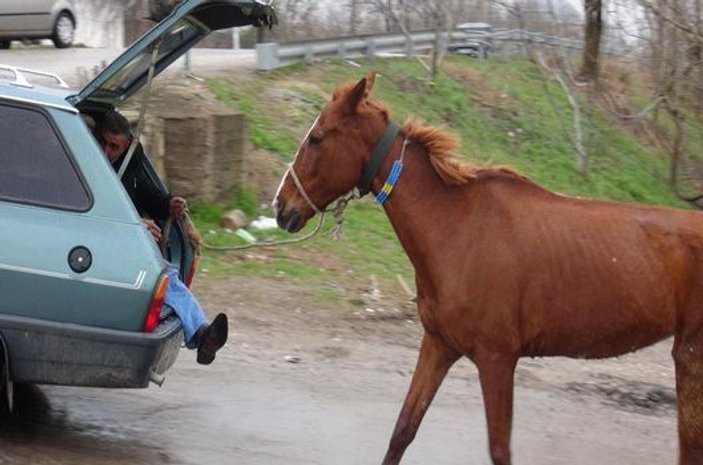 Edirne'de bir kişi atı otomobilin arkasında sürükledi