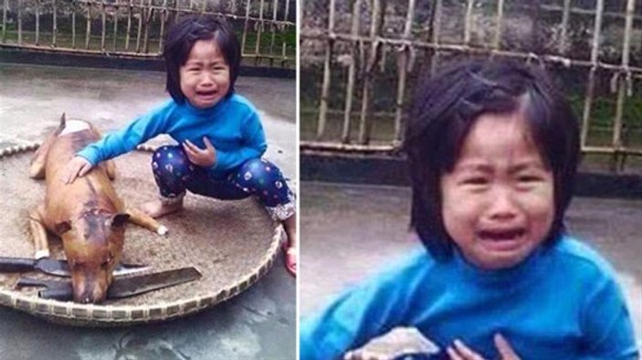 Vietnam'da 5 yaşındaki kız köpeğini yemek olarak buldu