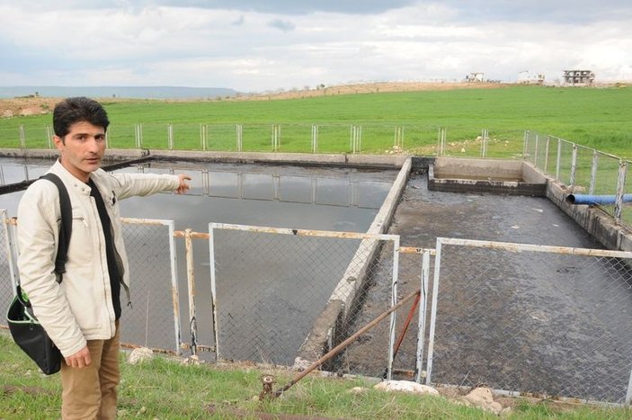 Köylüler köpekleri için petrol kampına saldırdı