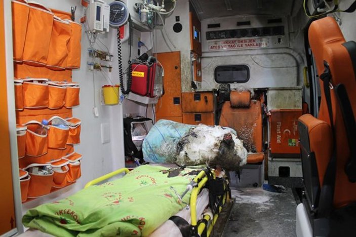 Hakkari'de ambulansa molotoflu saldırı
