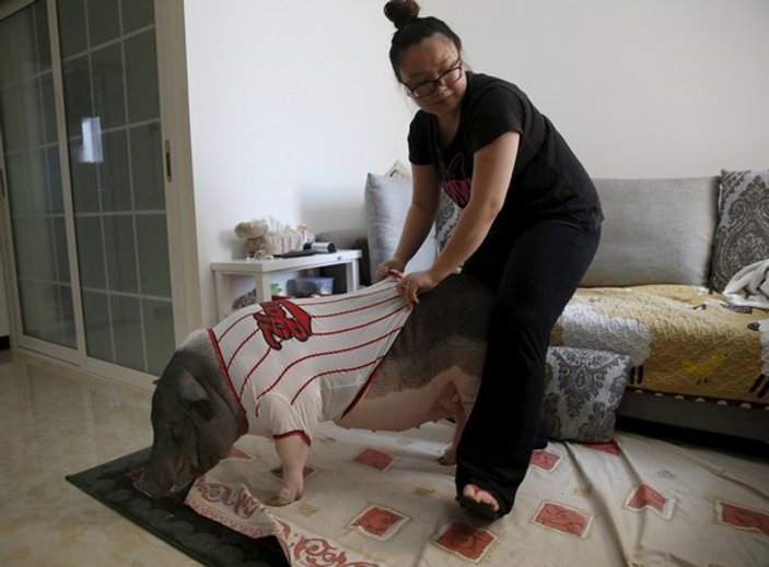 Evinde domuz besleyen Çinli kadın