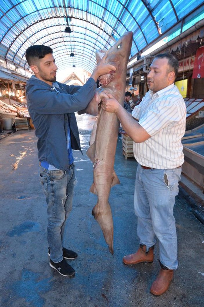 Mersin'de balıkçılar 2,5 metrelik camgöz balığı yakaladı