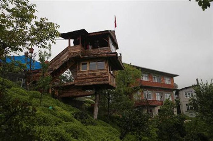 Rizeli adam kuzenine inat ceviz ağacına ev yaptı