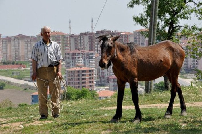 Beş bin lira maaşlı at çobanı işi bıraktı