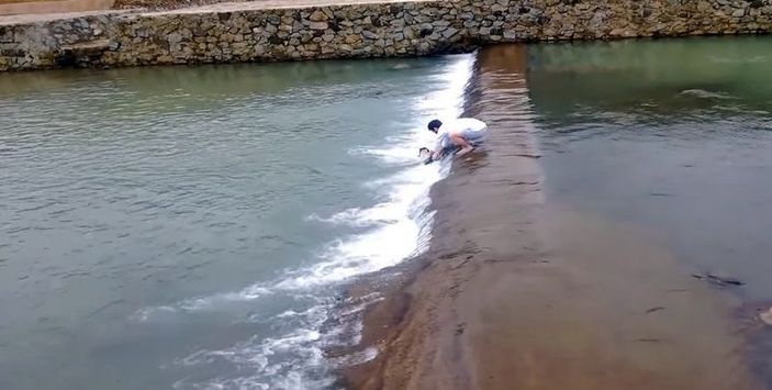 Karadenizli gencin kuzu kurtarma operasyonu