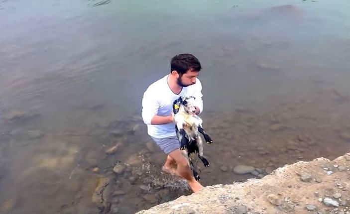 Karadenizli gencin kuzu kurtarma operasyonu