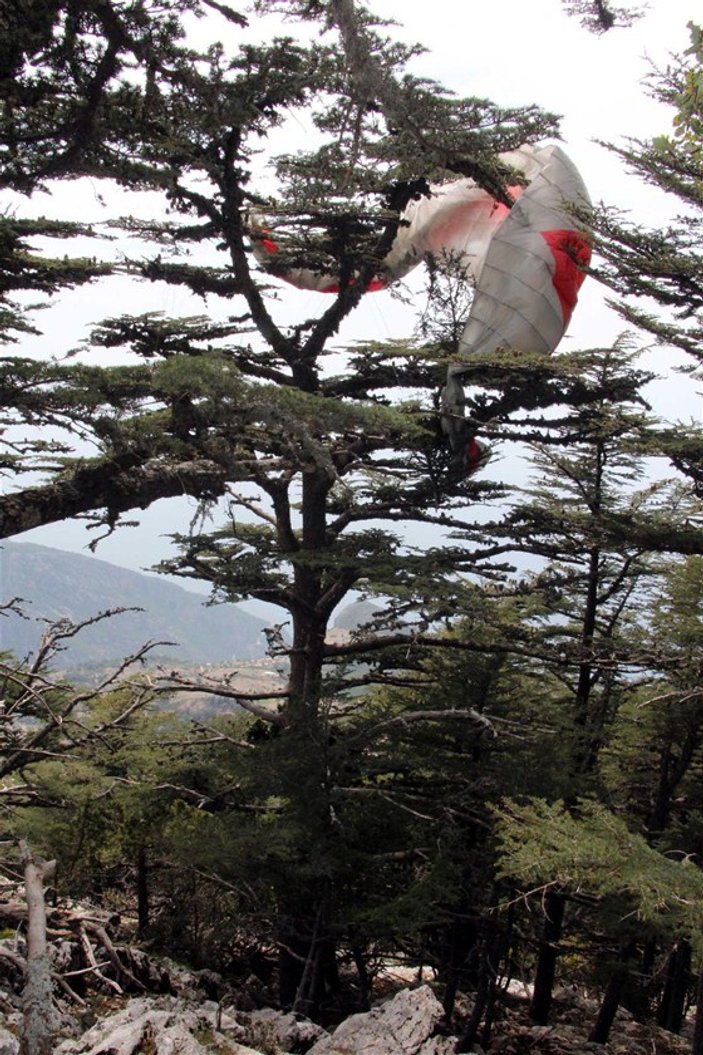 Fethiye'de paraşütü kapanan turist ağacın üzerine düştü