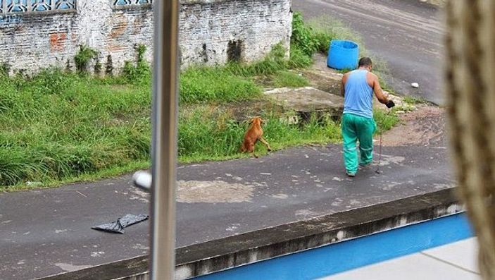 Çöpçü çarptığı köpeği canlı canlı çöp kamyonuna attı