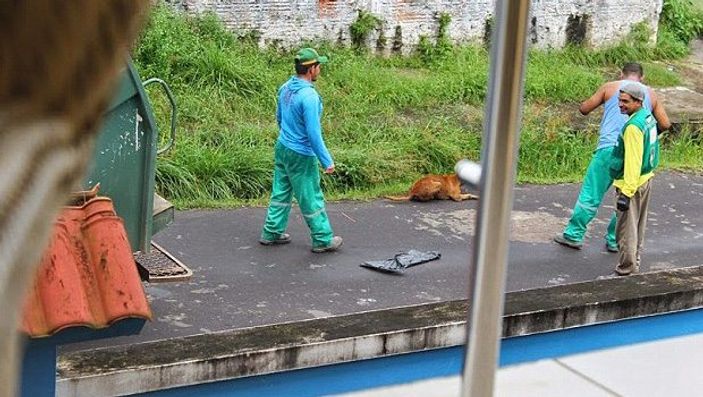 Çöpçü çarptığı köpeği canlı canlı çöp kamyonuna attı