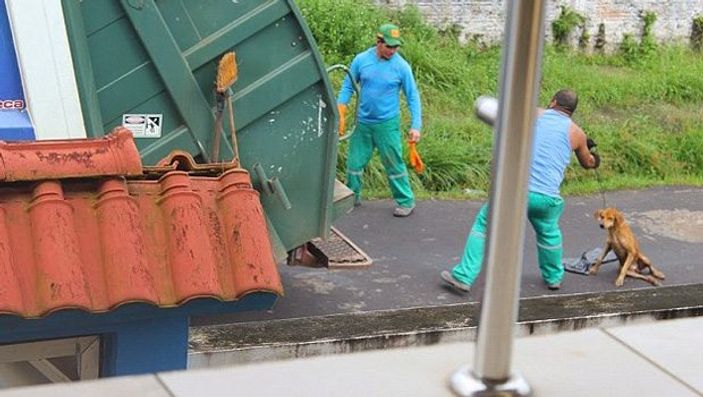 Çöpçü çarptığı köpeği canlı canlı çöp kamyonuna attı