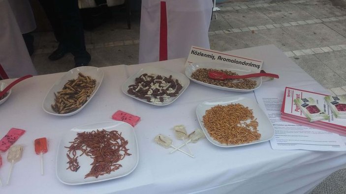 Kadıköy'de vatandaşlara böcek ikram ettiler
