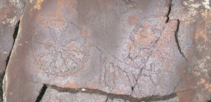 Artvin'de Şaman inancına ait kaya resimleri bulundu