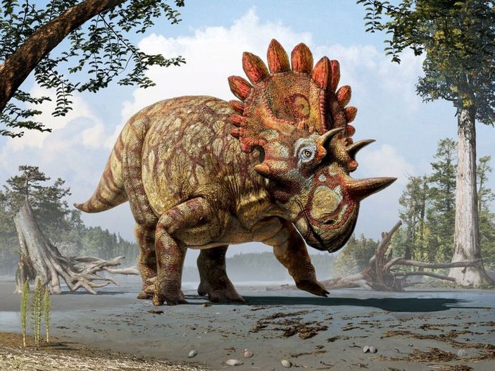 Kanada'da yeni tür dinozor fosili bulundu