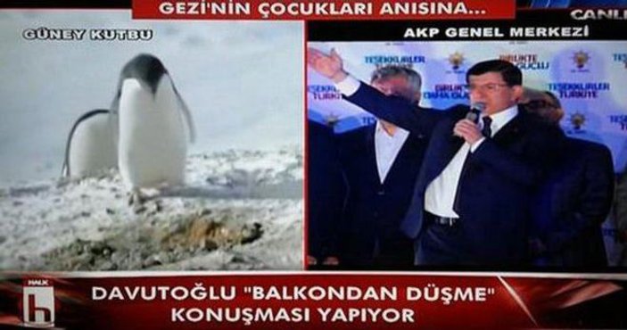 Halk TV Davutoğlu konuşurken penguen belgeseli yayınladı