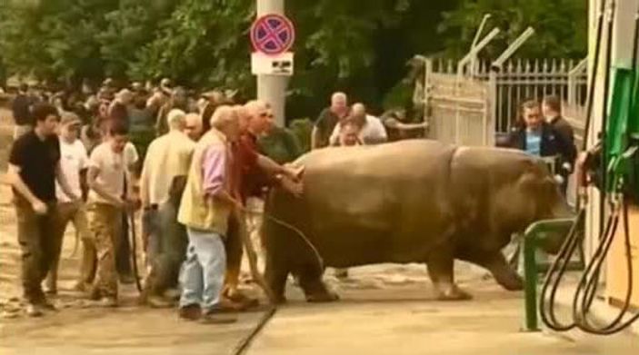 Gürcistan'ın başkenti Tiflis'te sel