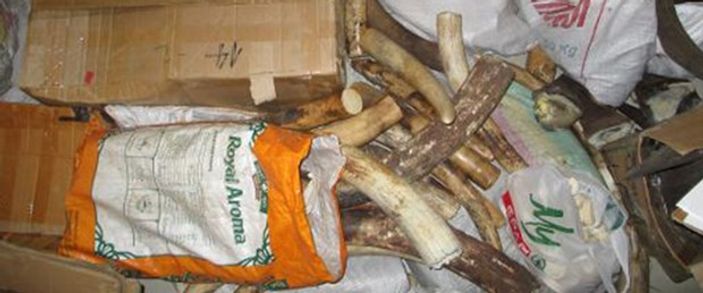 Birleşmiş Milletler'den Cobra 3 operasyonu