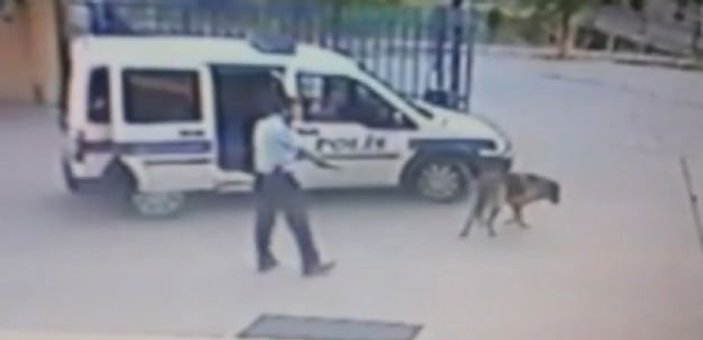 İzmir'de komiser yardımcısı köpek vurdu