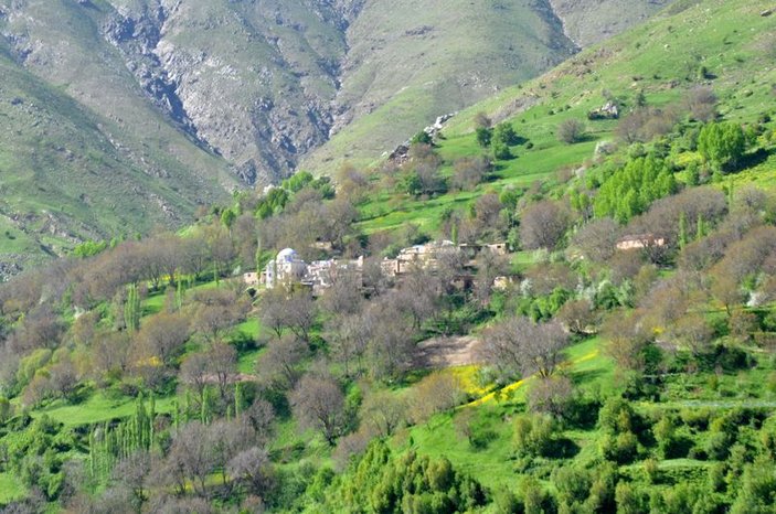 Bitlis'in en titiz köyü: Çayır