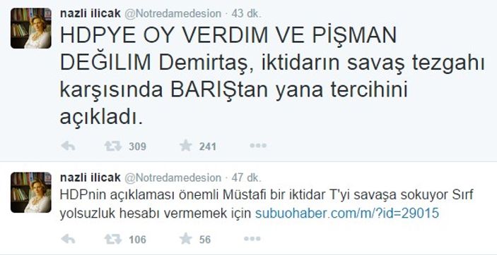 Nazlı Ilıcak: Oyumu HDP'ye verdim