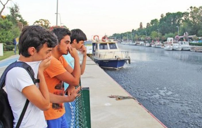 Kadıköy'deki Kurbağalıdere kirden fokurdamaya başladı